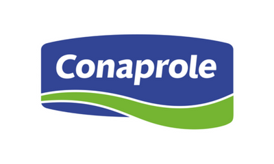 logo 8