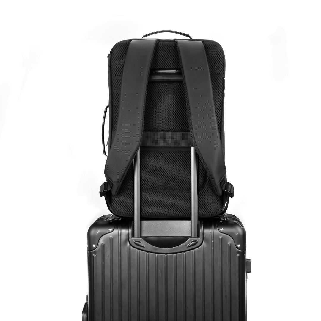 Pack Bedford Pro